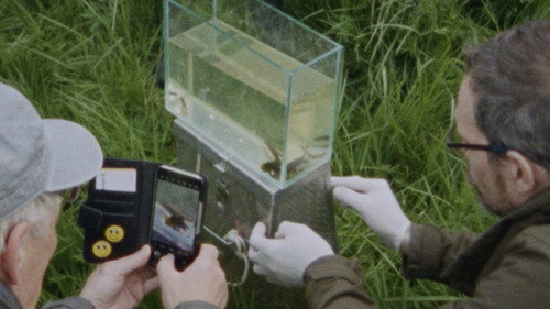 Seen From Here, I Feel Like Belonging