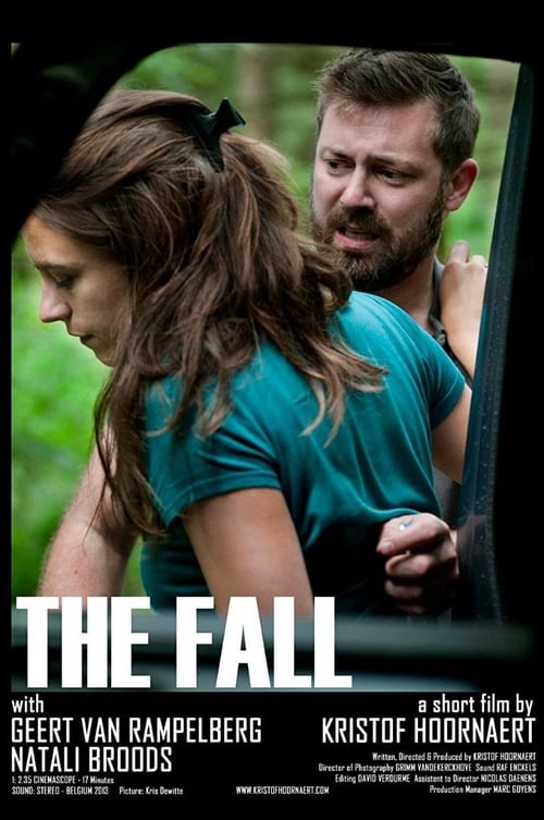 The Fall (2013) poster