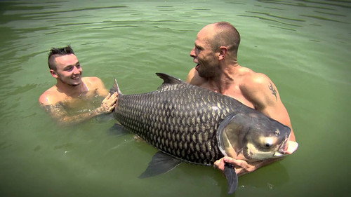 The Big Fish Off Backdrop Blur