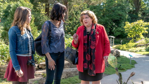 A Bruxa do Bem: 3×1