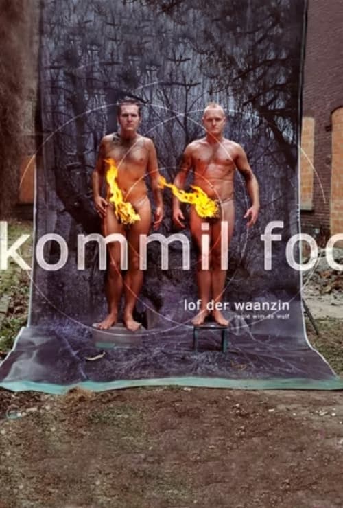 Kommil Foo: Lof der Waanzin (2003) poster