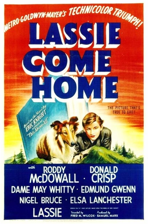 Lassie Come Home 1943 — The Movie Database Tmdb