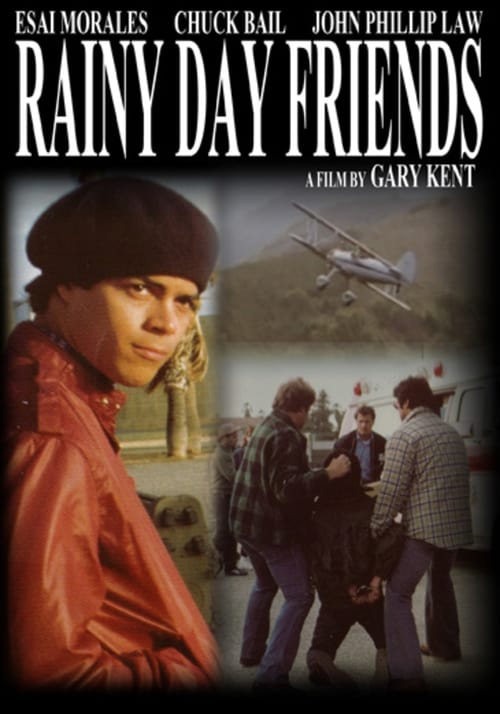 Rainy Day Friends Movie Poster Image