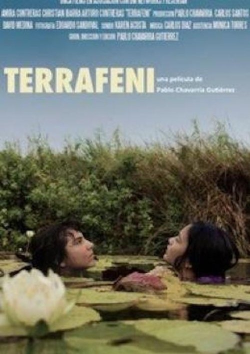 Terrafeni movie poster player