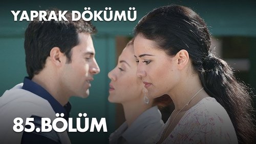 Poster della serie Yaprak Dökümü