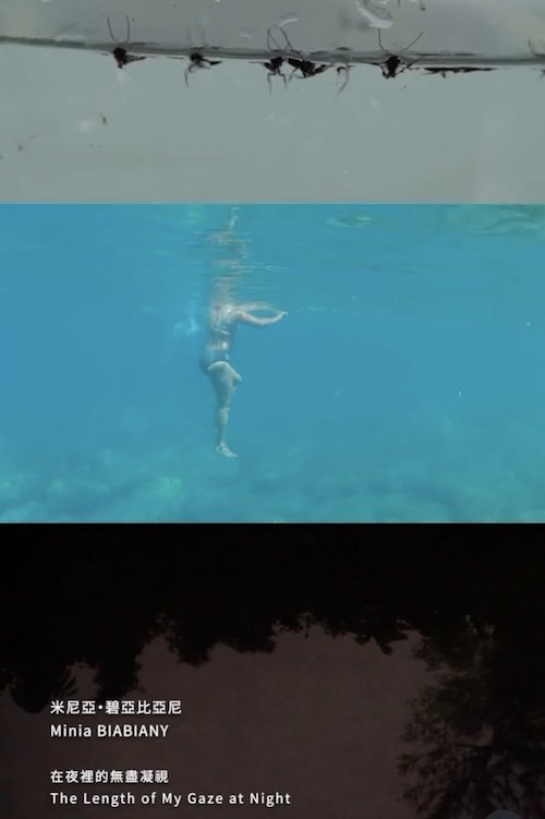 The Length of My Gaze at Night poster