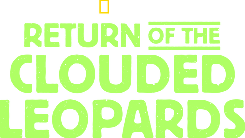Return of the Clouded Leopards