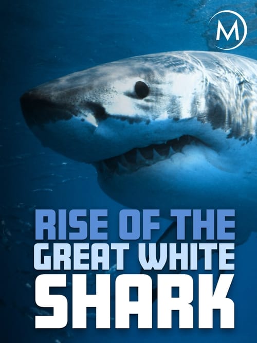 Where to stream Rise Of The Great White Shark