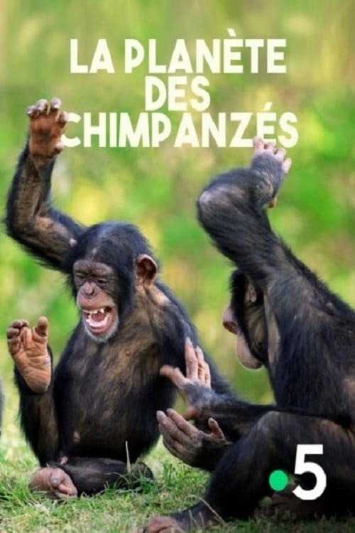 La planète des chimpanzés 2013