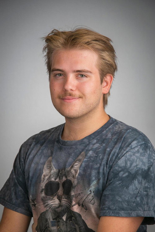 Amandus Valentin Vidnes