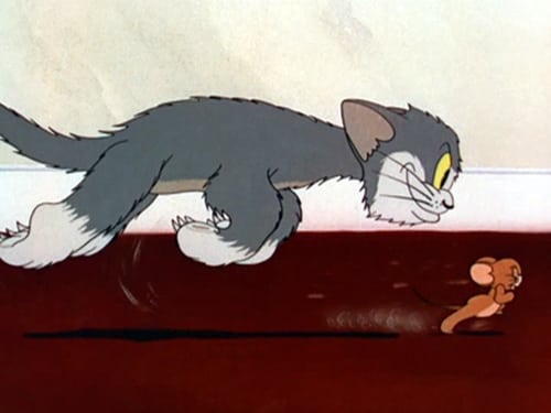 Poster della serie The Tom and Jerry Show