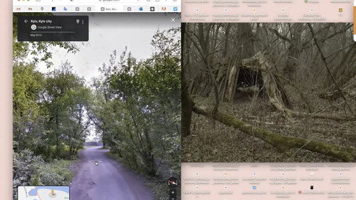 Contemporary History of Ukraine