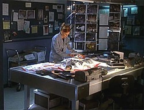 CSI: Crime Scene Investigation: 3×22