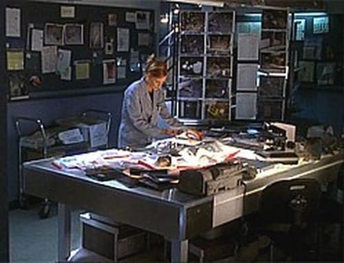 CSI: Investigação Criminal: 3×22