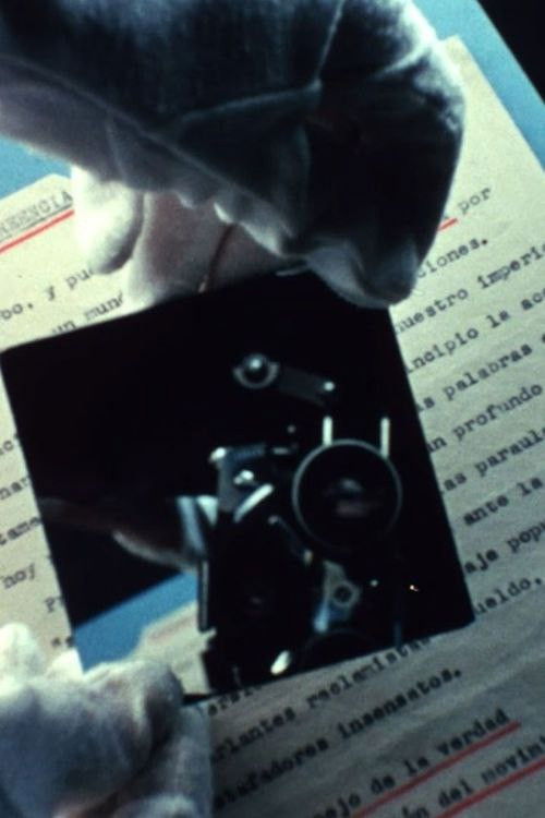 The World Was Deleted