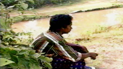 Anpoove Backdrop Blur