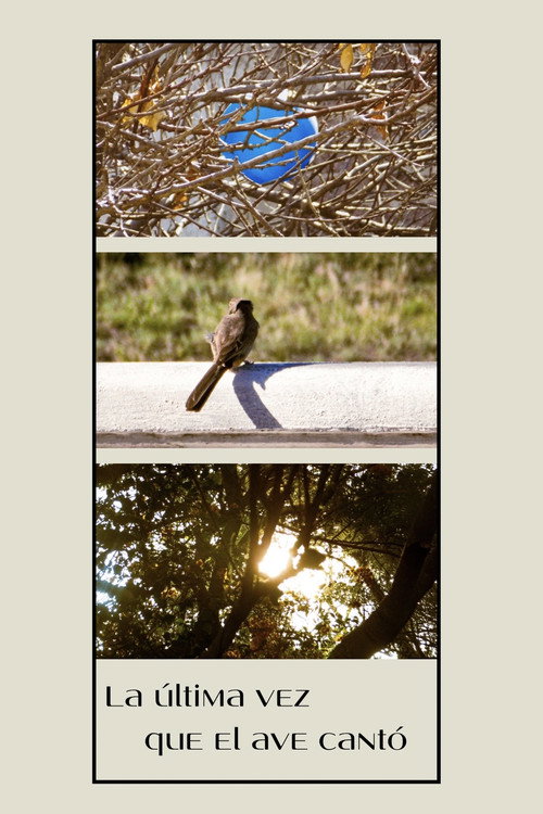 The last time the bird sang.