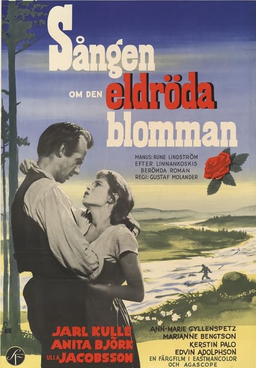 Poster Sången om den eldröda blomman 1956