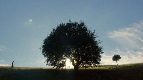 Echoes of Menchul Backdrop Blur