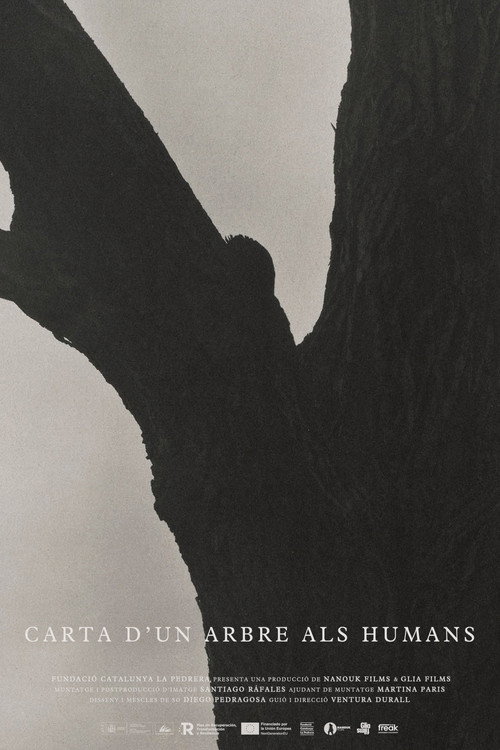 Carta d’un arbre als humans