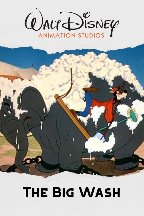 The Big Wash poster