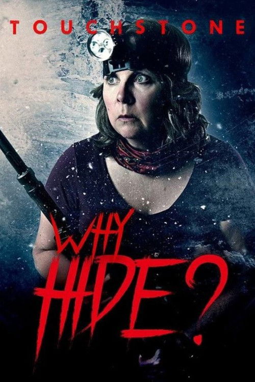 Why Hide? poster