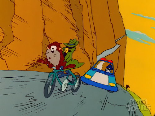 To Catch a Taz