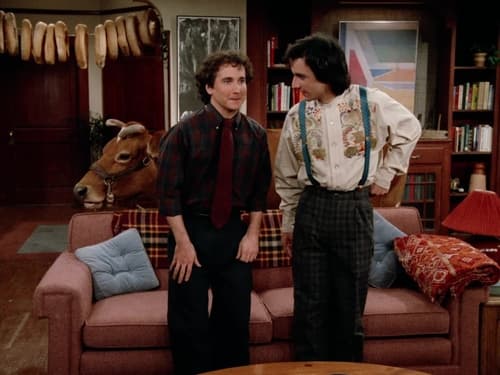 Poster della serie Perfect Strangers