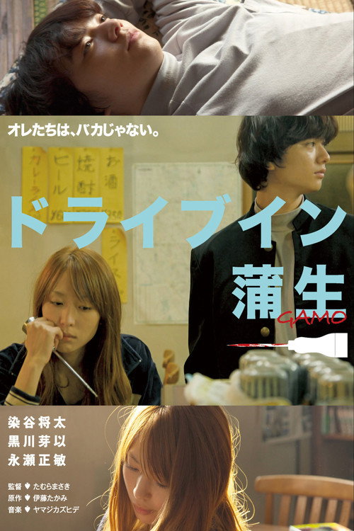 Drive in Gamo