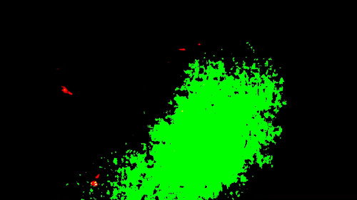Gaze in the State of Confusion still