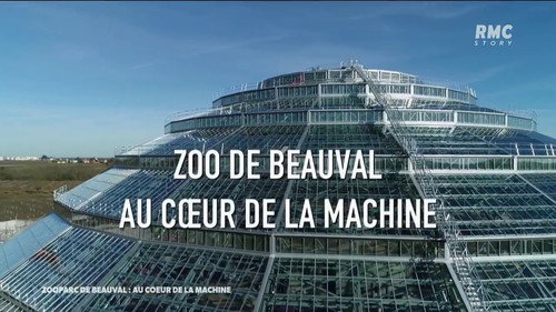 Zoo de Beauval : Au cœur de la machine Backdrop Blur