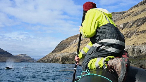 Bloody Tradition – Agree to Disagree