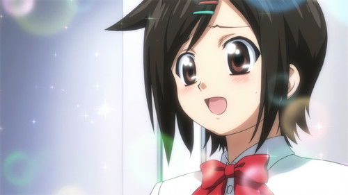 The Ladies Flap Their Wings in the Morning Forte