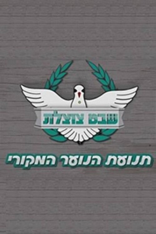 שבט צוצלת
