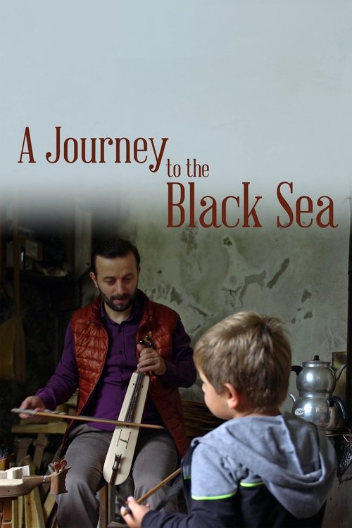 A Journey To The Black Sea poster