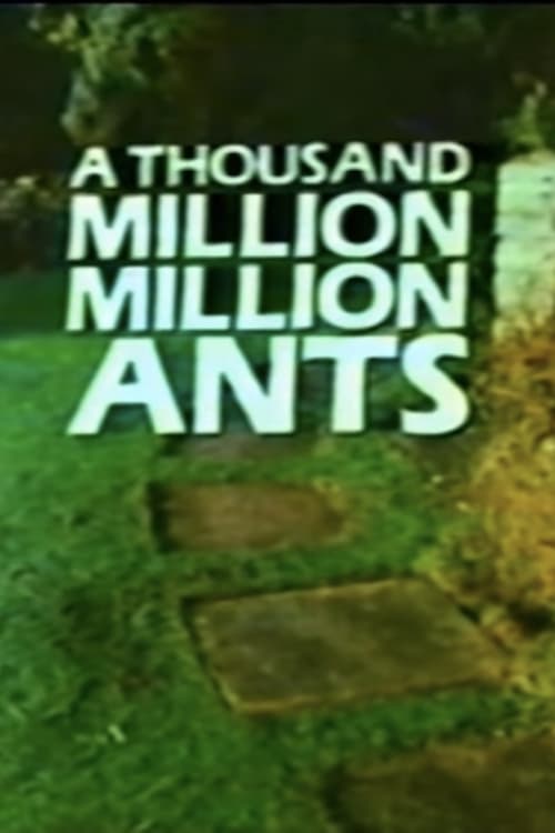 Poster A Thousand Million Million Ants 1985