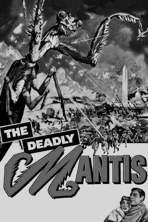 The Deadly Mantis poster