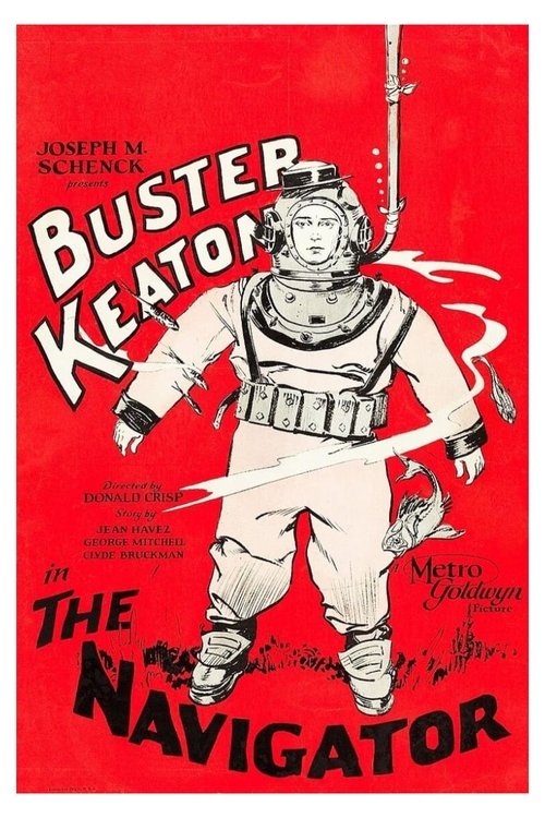 Poster 13