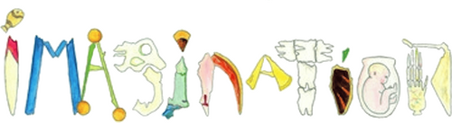 Imagination logo