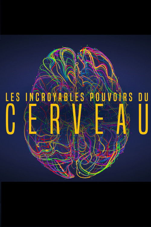 Les incroyables pouvoirs du cerveau (2016) poster