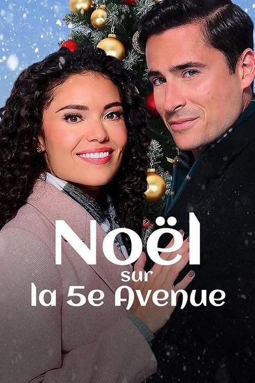 Poster image du film Noël sur la 5ème avenue Noël sur la 5ème avenue
