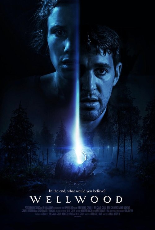 Wellwood poster