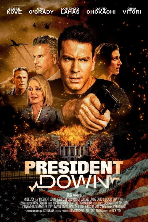 President Down poster
