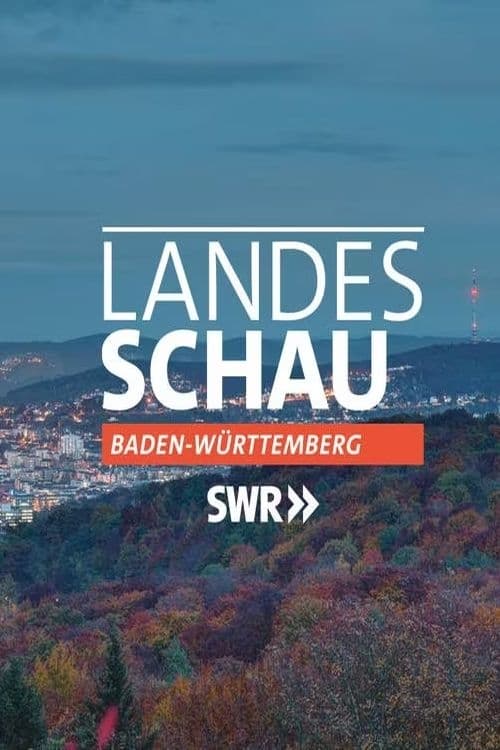 Landesschau Baden-Württemberg, S13 - (2014)