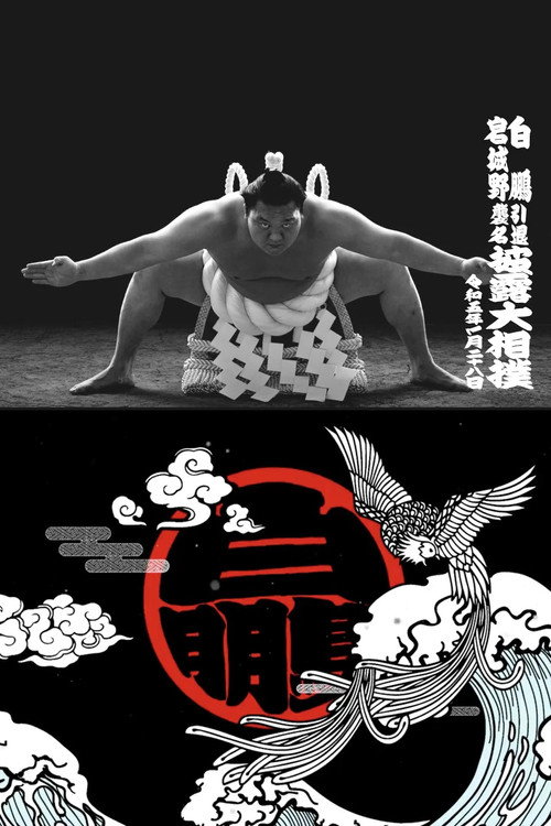 ありがとう大横綱白鵬〜栄光の土俵人生20年　感動の引退相撲大公開〜 poster