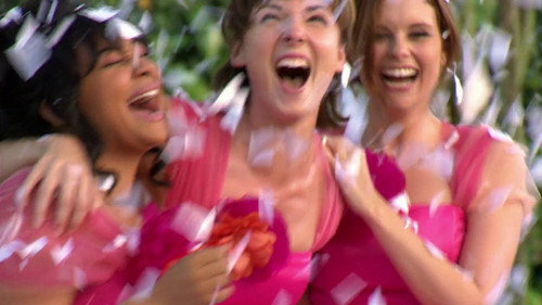 Revenge of the Bridesmaids