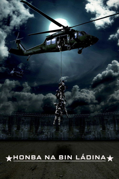 Seal Team Six: The Raid on Osama Bin Laden poster