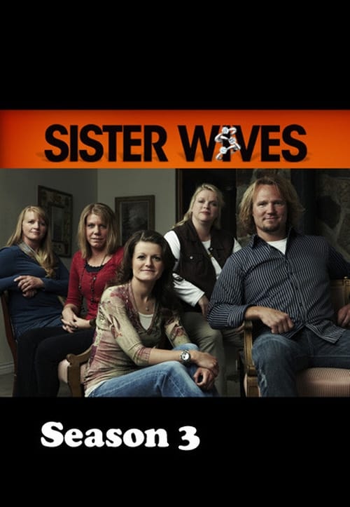 Where to stream Sister Wives Season 3