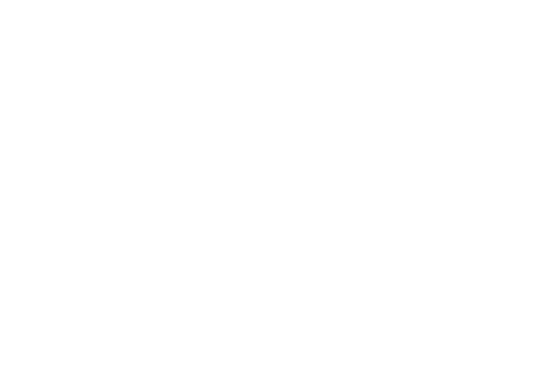 Bordertown