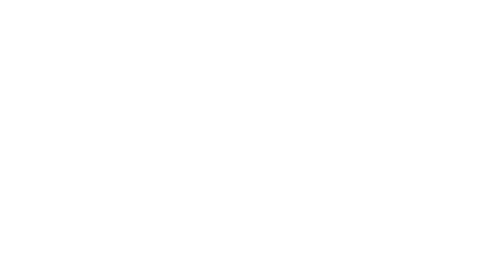 The Hidden Fox